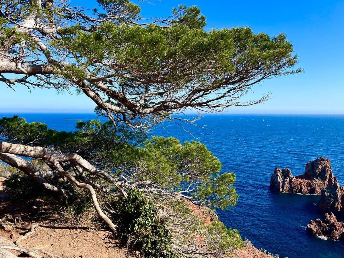 Les Cactus Frejus Plage Eksteriør billede