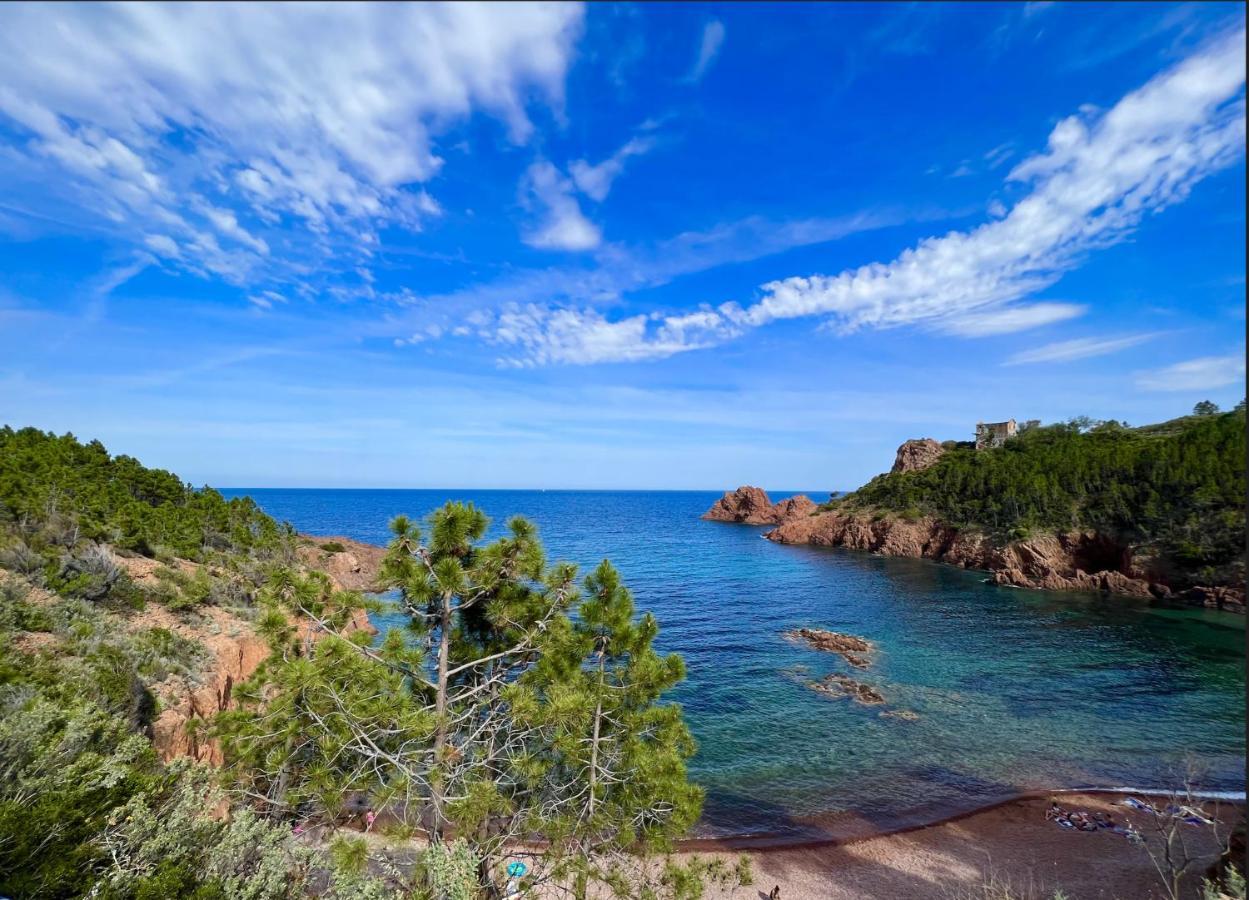 Les Cactus Frejus Plage Eksteriør billede