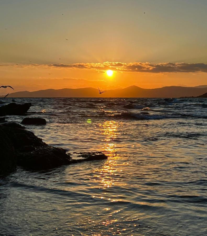 Les Cactus Frejus Plage Eksteriør billede
